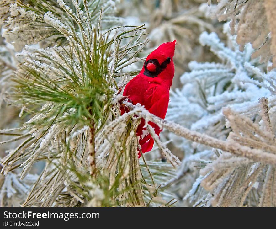 Christmas tree decorations