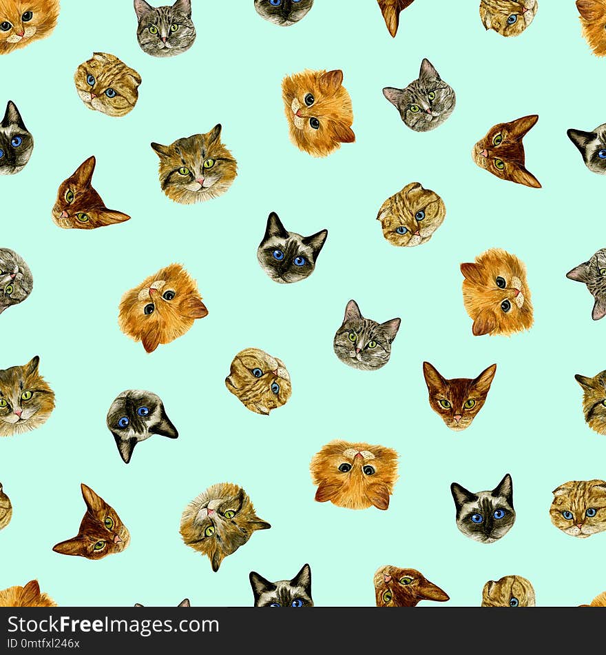 Seamless pattern with small cat snouts on a coloured background. Watercolour. Hand drawing. Great for fabric, wrapping paper, background, etc.