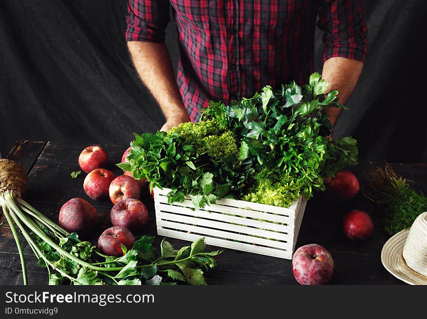 Farmer with freshly herbs in wooden box harvesting concept. Farmer with freshly herbs in wooden box harvesting concept