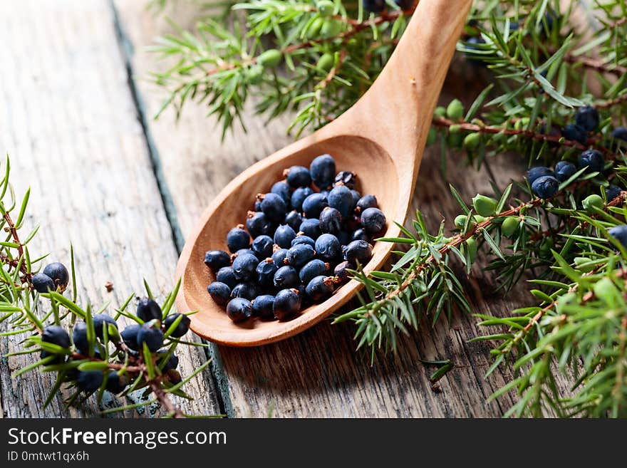 Juniper branch and wooden spoon with berries on a wooden background. Juniper branch and wooden spoon with berries on a wooden background.