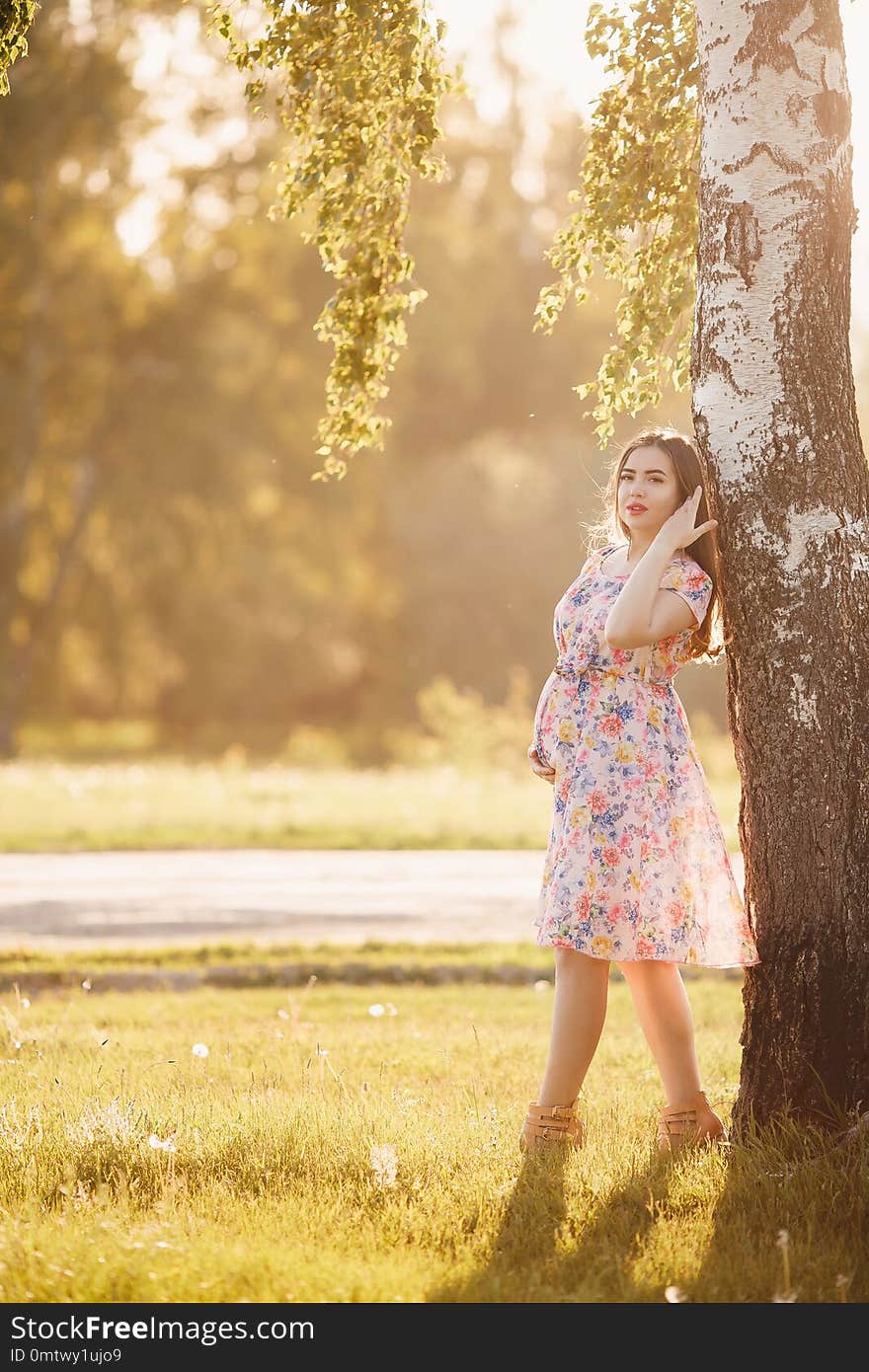Pregnant girl in a light dress is walking around the park leaning against a tree. Concept maternity, pregnancy, childbirth, a healthy walk in the park, nature help. Sunset