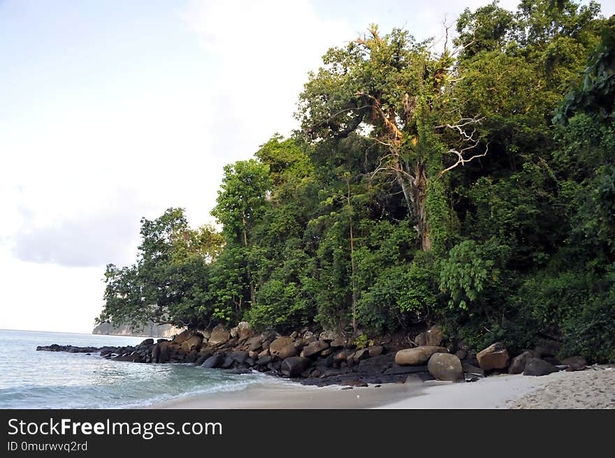 Vegetation, Body Of Water, Nature Reserve, Water