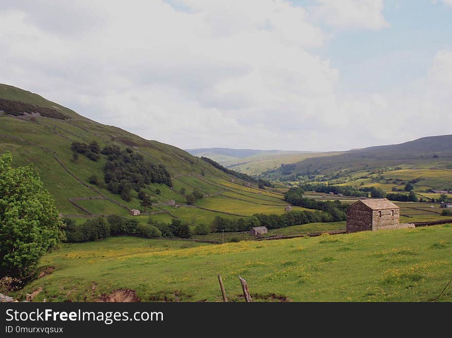 Highland, Grassland, Hill, Pasture