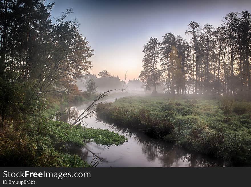 River In The Fog, Just Before Sunrise. A Warm Glow In The Clouds From The First Rays Of The Sun.