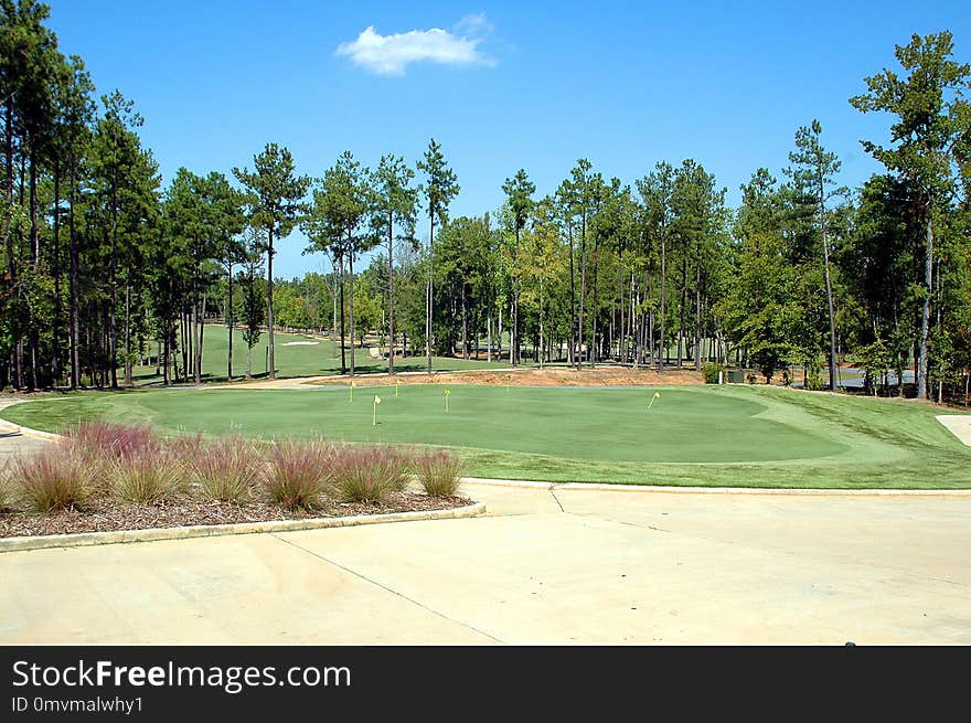 Golf Course, Grass, Tree, Landscape