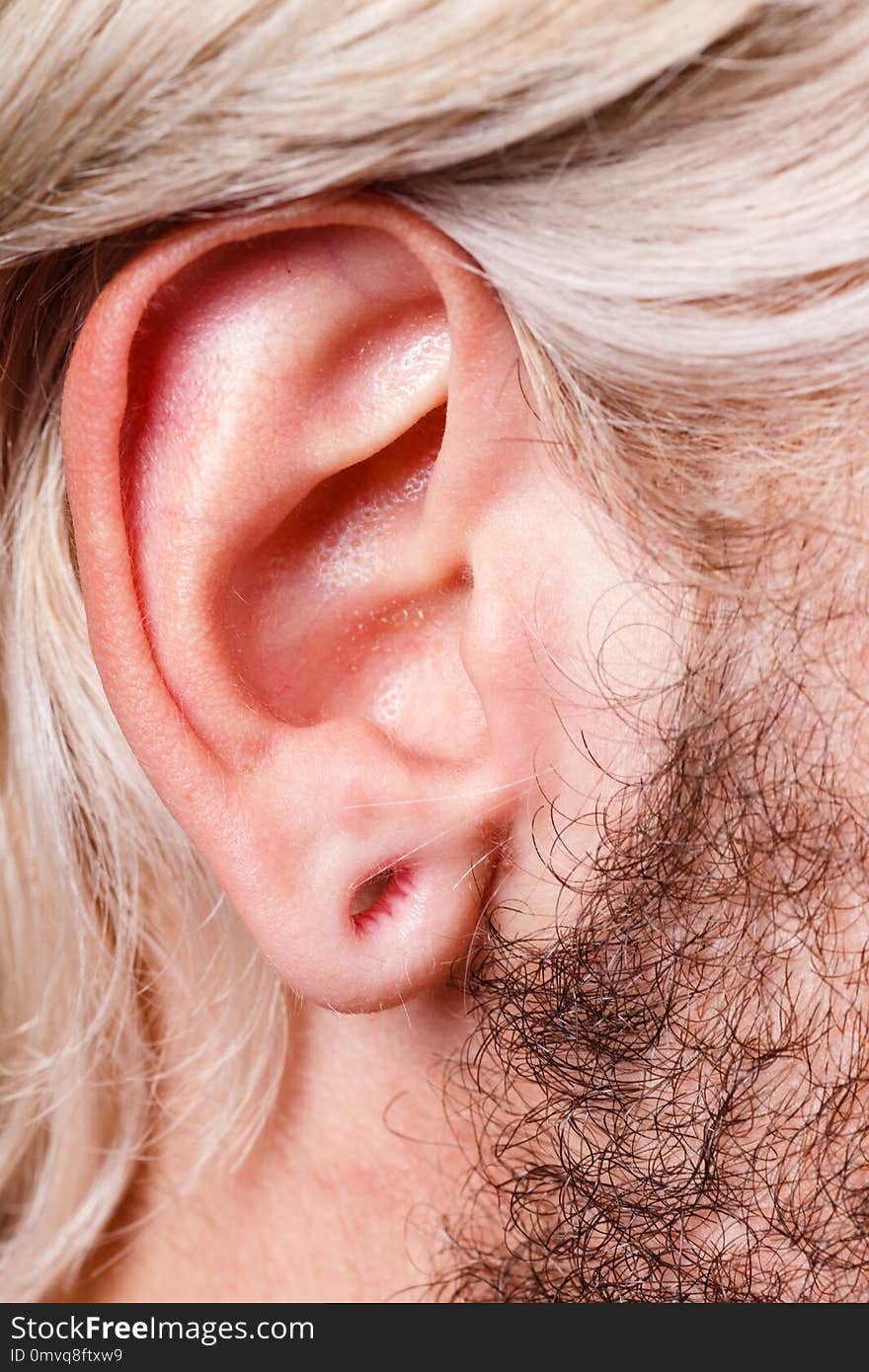 Stretched lobe piercing, grunge concept. Pierced man ear without black plug tunnel. Stretched lobe piercing, grunge concept. Pierced man ear without black plug tunnel