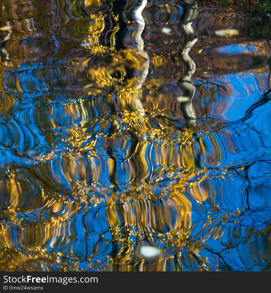 Colorful reflection in autumn pond in the park. Colorful reflection in autumn pond in the park.