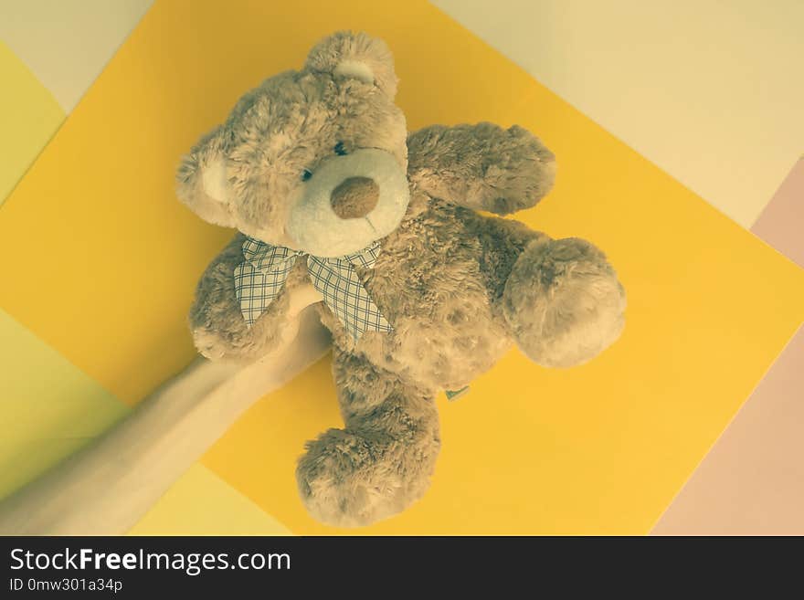 Hand holding teddy bear on multi color background creative concept f