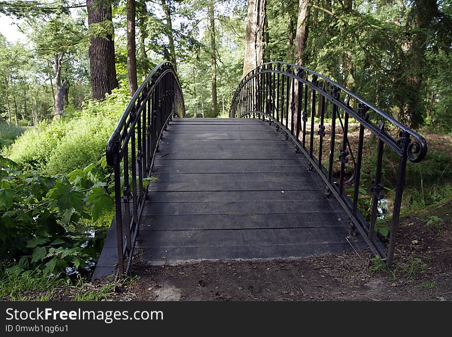 Nature, Path, Woodland, Tree