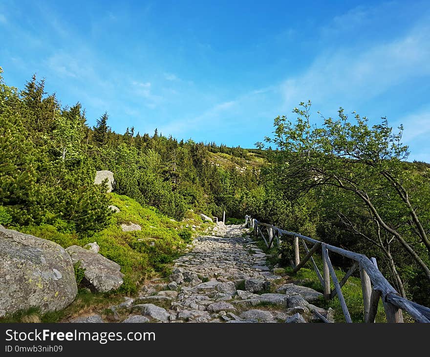 Sky, Nature, Vegetation, Wilderness