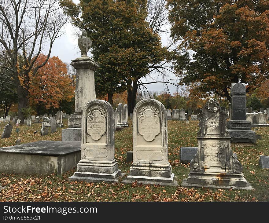 Cemetery, Grave, Headstone, Tree