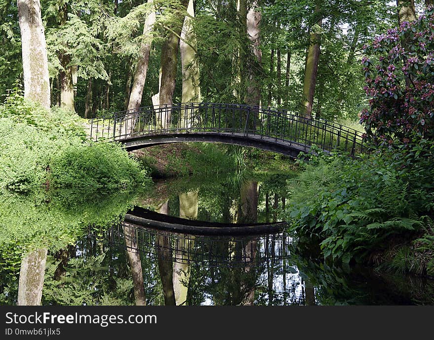 Reflection, Water, Nature, Green