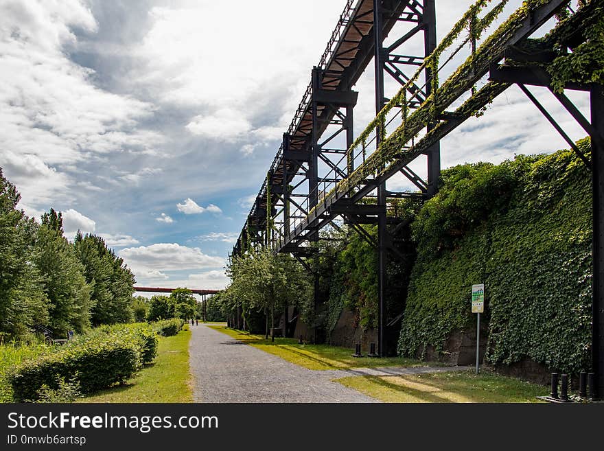 Sky, Transport, Tree, Bridge