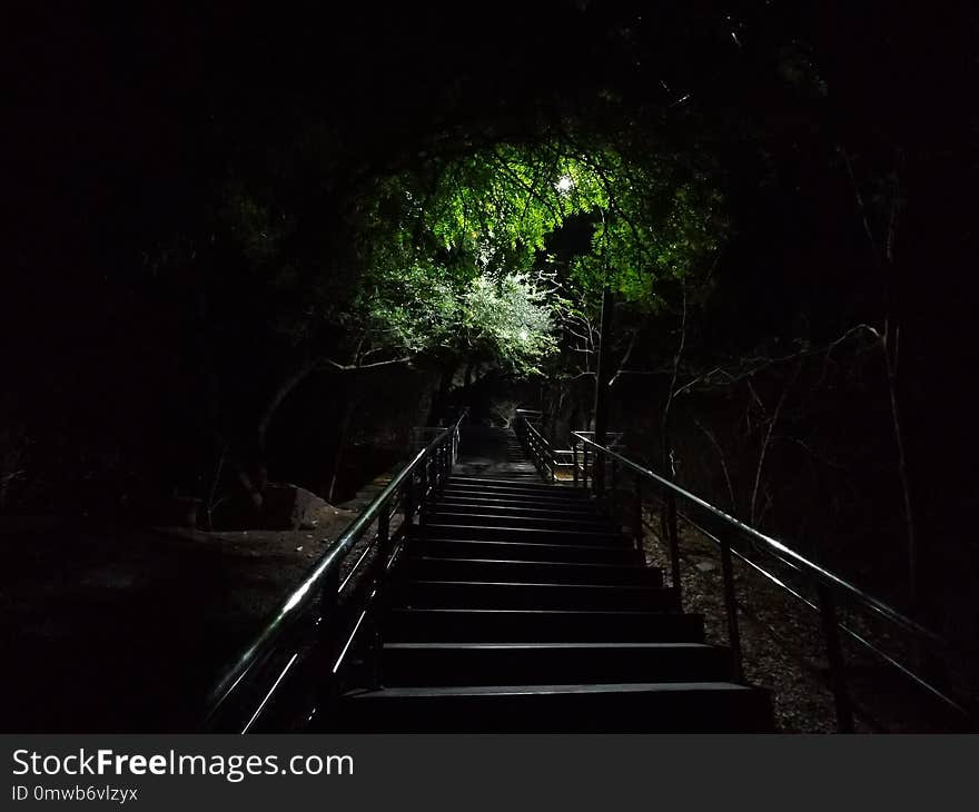 Darkness, Tunnel, Night, Forest