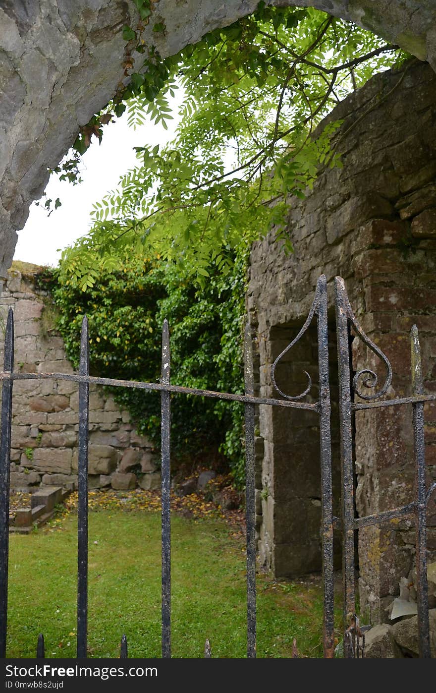 Wall, Ruins, Arch, Tree