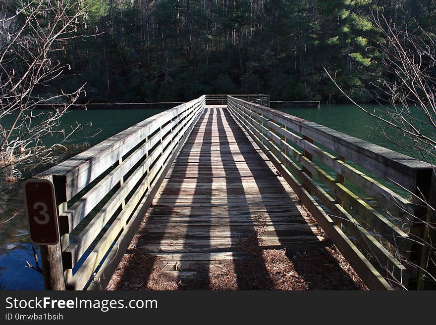 Bridge, Water, Reflection, Tree