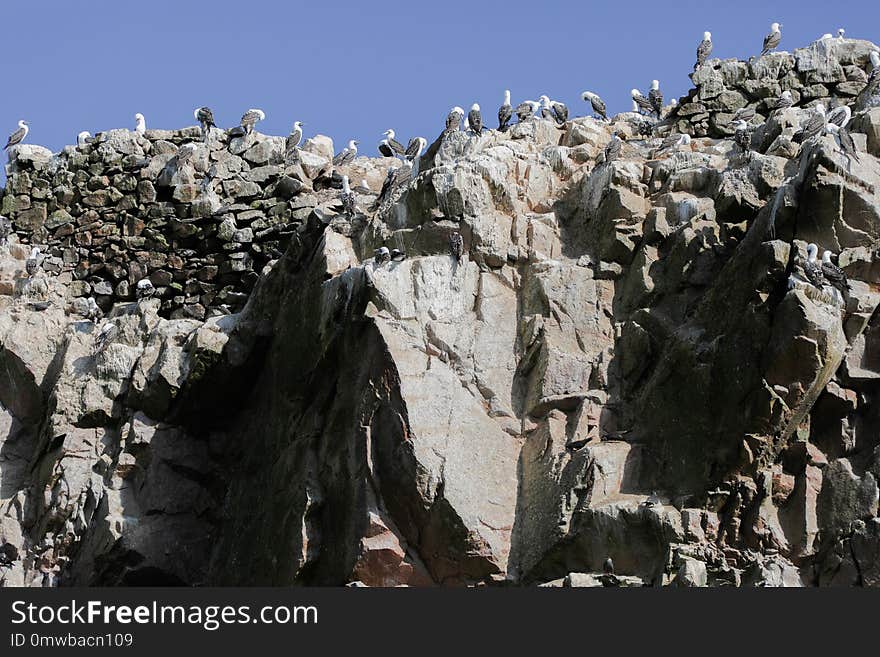 Rock, Formation, Geology, Tree