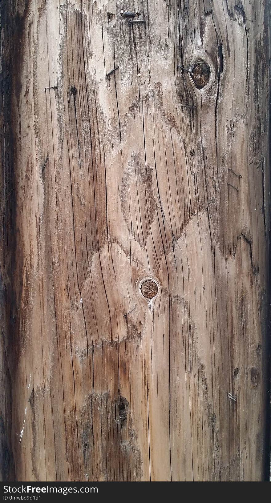 Wood, Trunk, Tree, Wood Stain