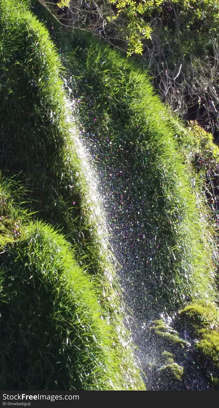 Vegetation, Water, Nature Reserve, Grass