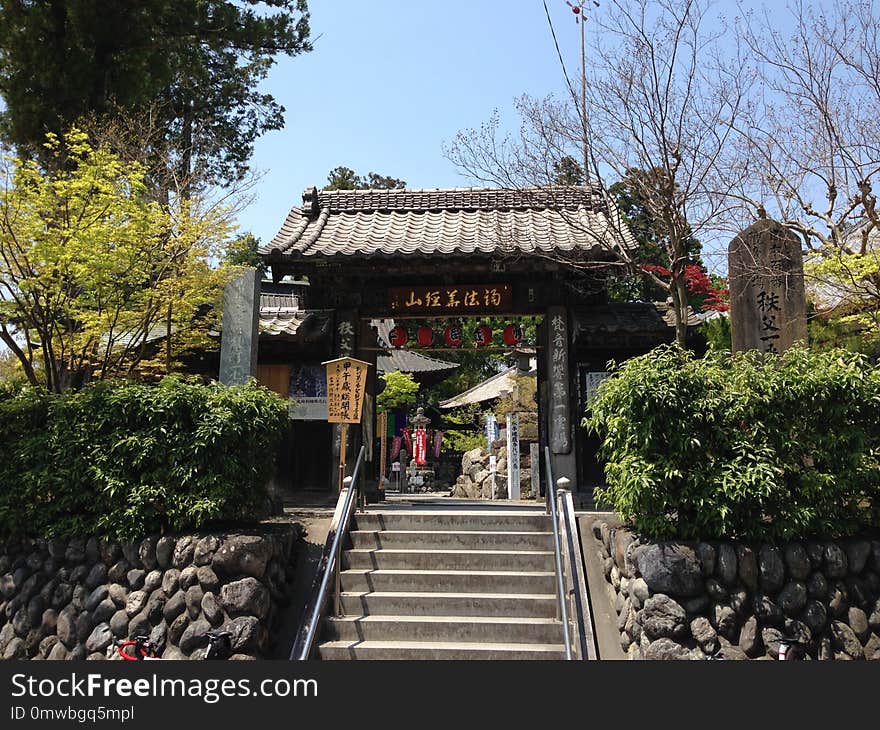 Chinese Architecture, Temple, Plant, Tree