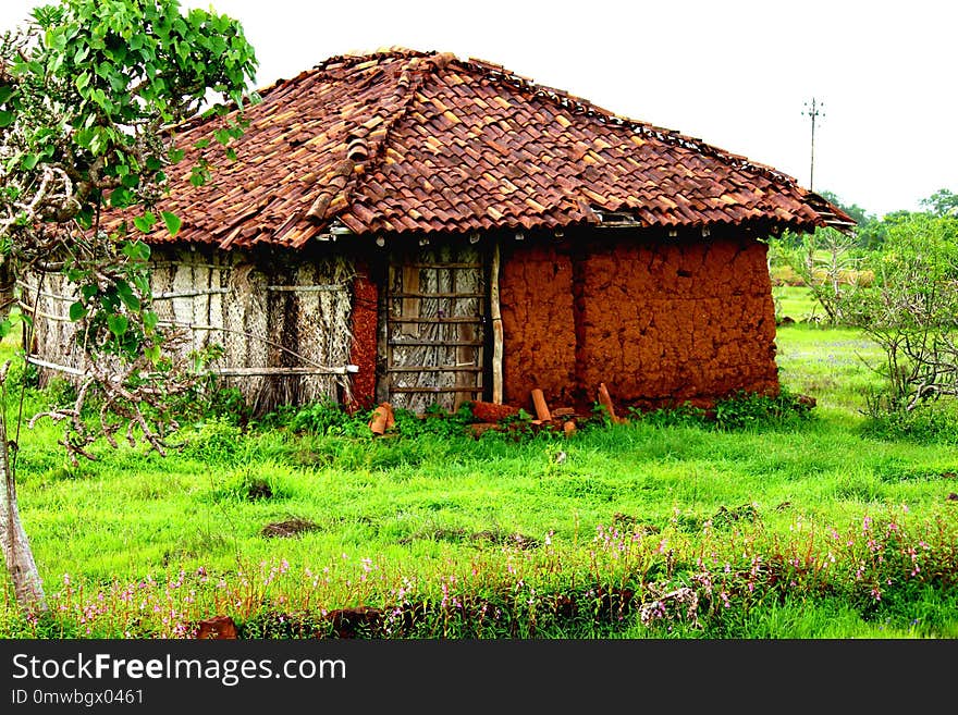 Hut, Grass, House, Cottage