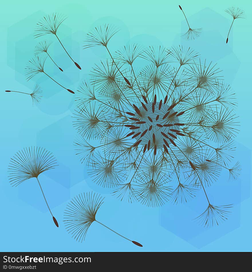 Abstract background of a dandelion for design. The wind blows the seeds of a dandelion. Template for posters, wallpapers, posters. Vector illustrations.