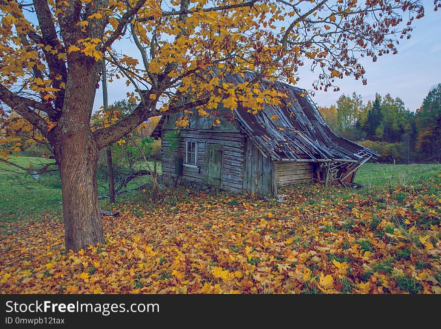 City Korneti, Latvia. Old house and autumn, trees and leafs. Travel nature photo 2018.