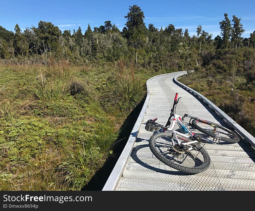 Land Vehicle, Path, Cycling, Road Bicycle