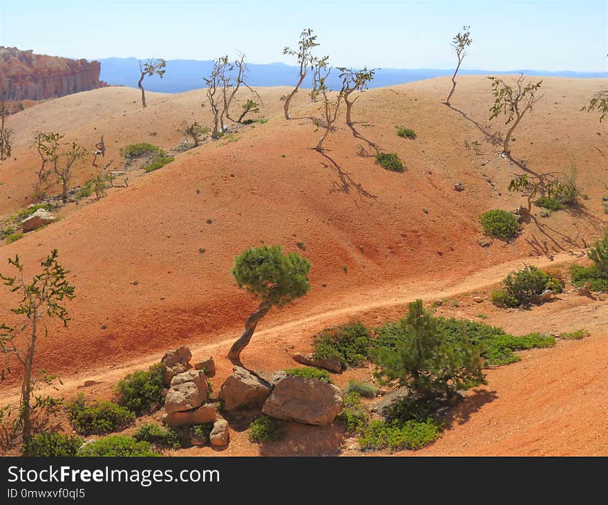 Ecosystem, Wilderness, Soil, Shrubland