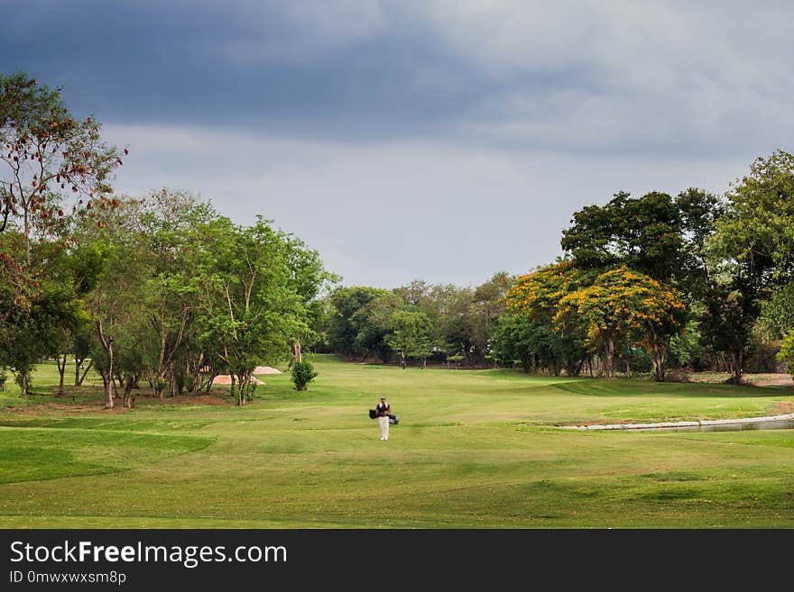 Nature, Sky, Golf Course, Tree