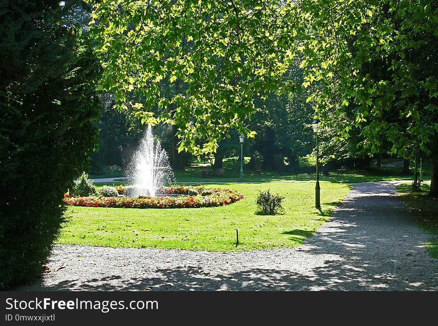 Nature, Water, Leaf, Garden