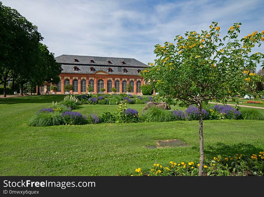 Garden, Nature, Estate, Plant