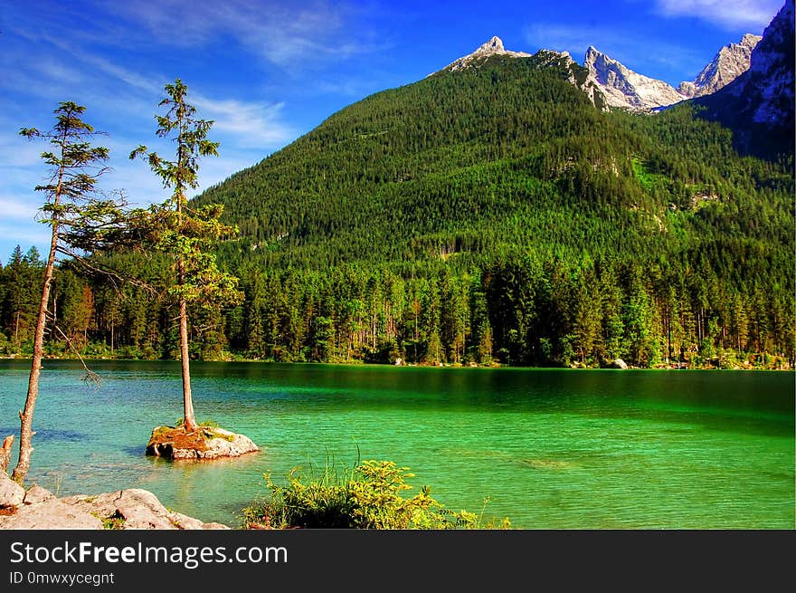 Nature, Lake, Wilderness, Vegetation