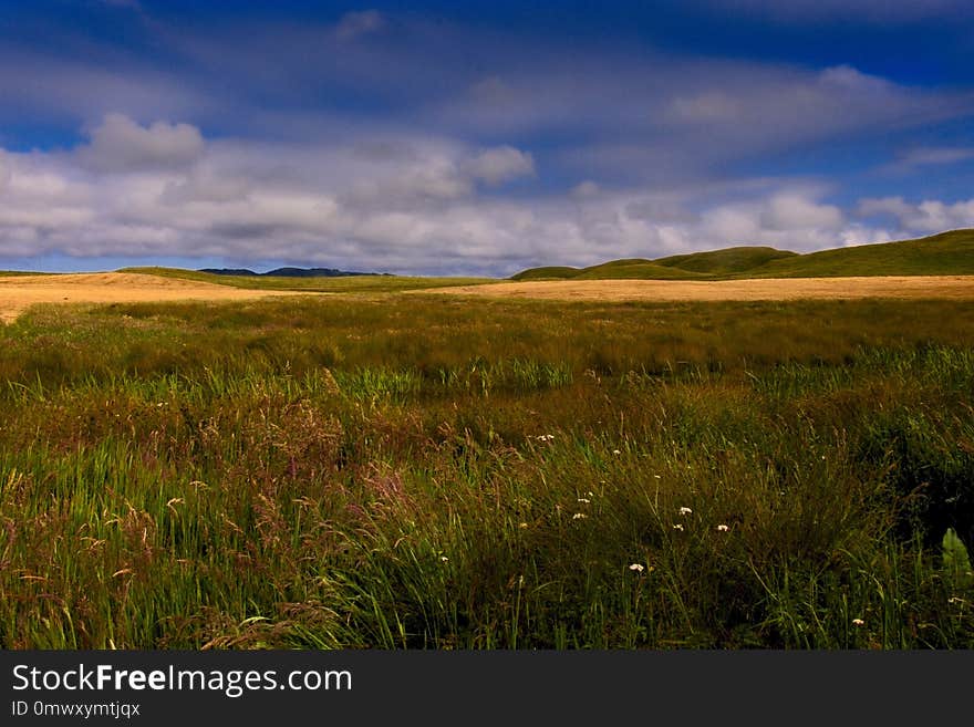 Grassland, Prairie, Ecosystem, Sky