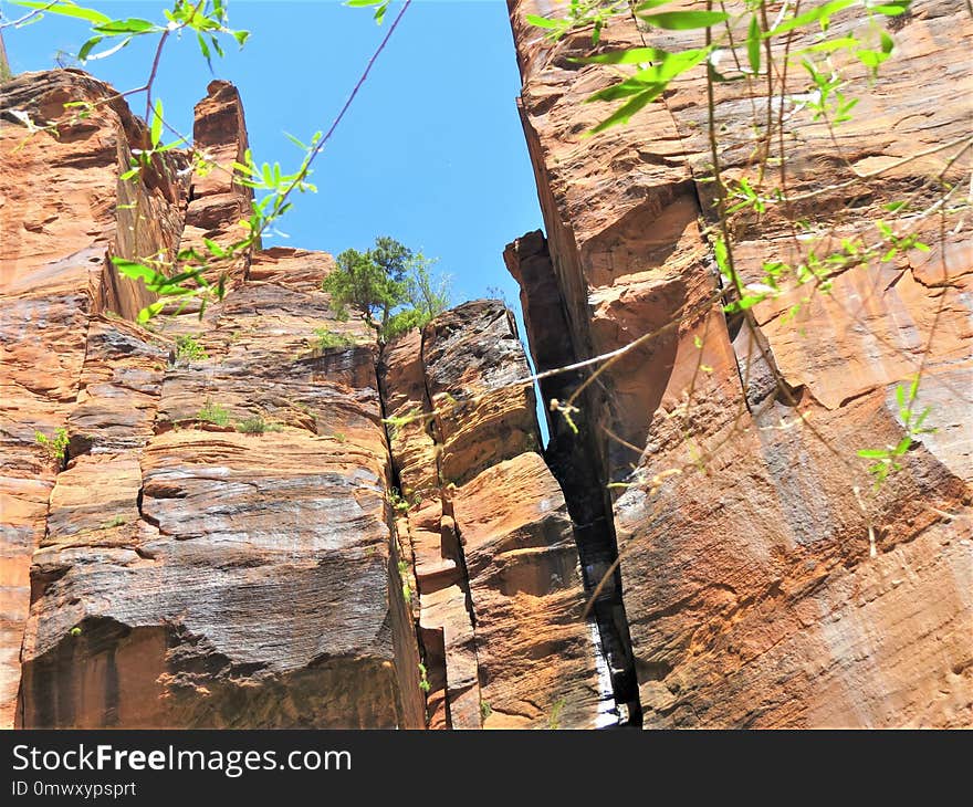 Rock, Tree, Formation, Outcrop