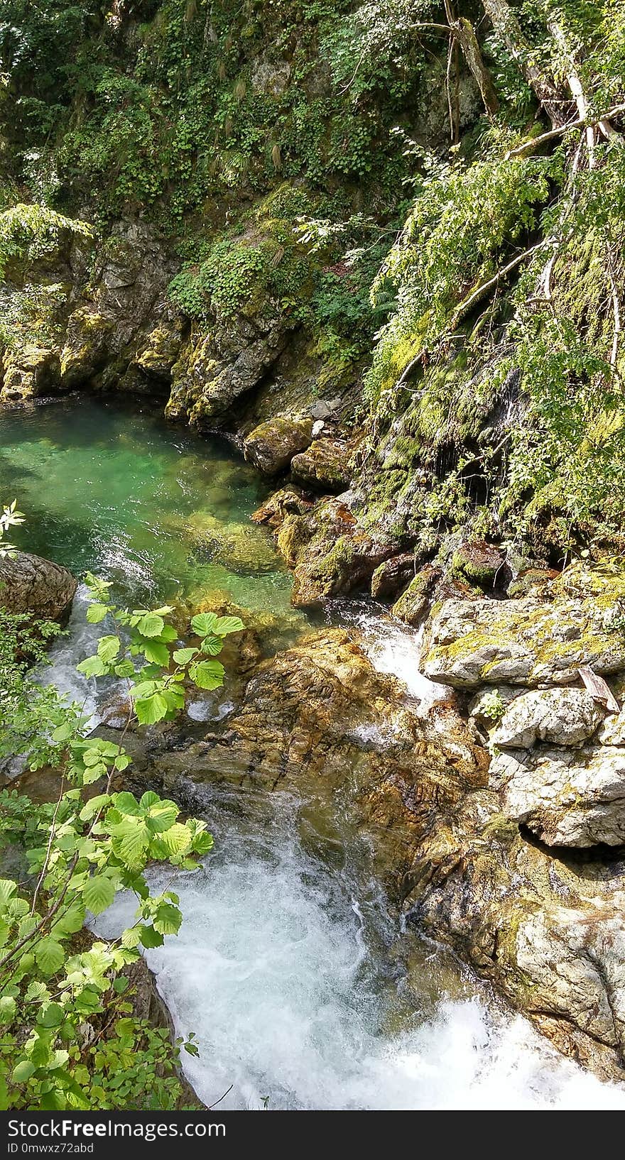 Water, Stream, Nature, Body Of Water