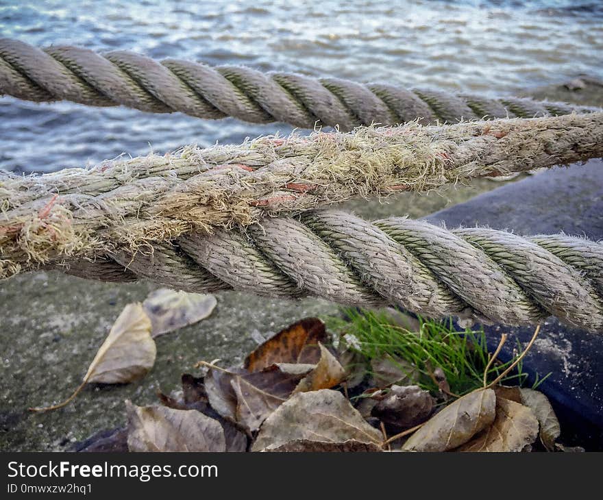 Water, Shore, Grass, Sea