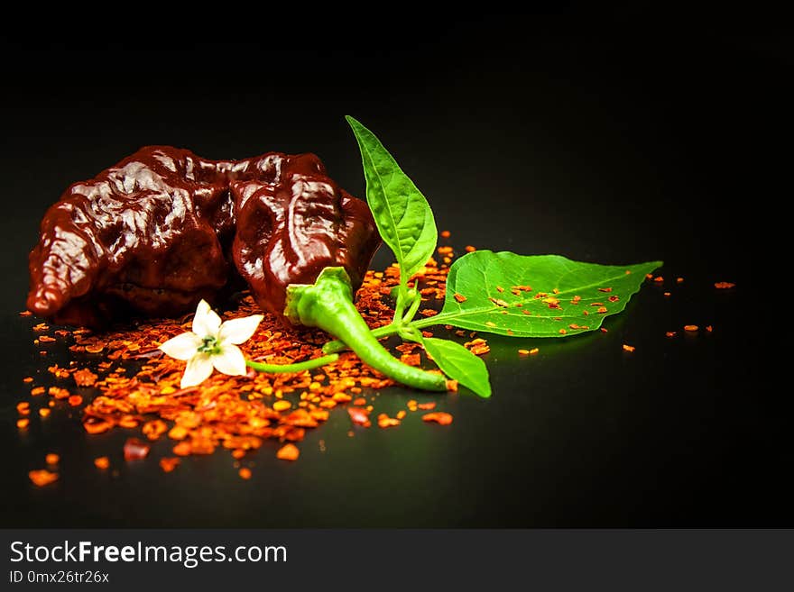 Chili pepper on black background. Space under the text. Extra hot chili pepper Naga Bhut Jolokia Chocolate. Healthy spice. Sale Chili