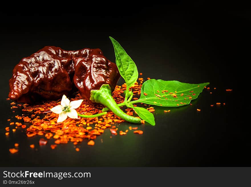 Chili pepper on black background. Space under the text. Extra hot chili pepper Naga Bhut Jolokia Chocolate. Healthy spice. Sale C