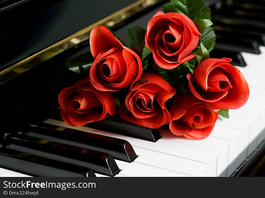 Piano Key and rose close up shot