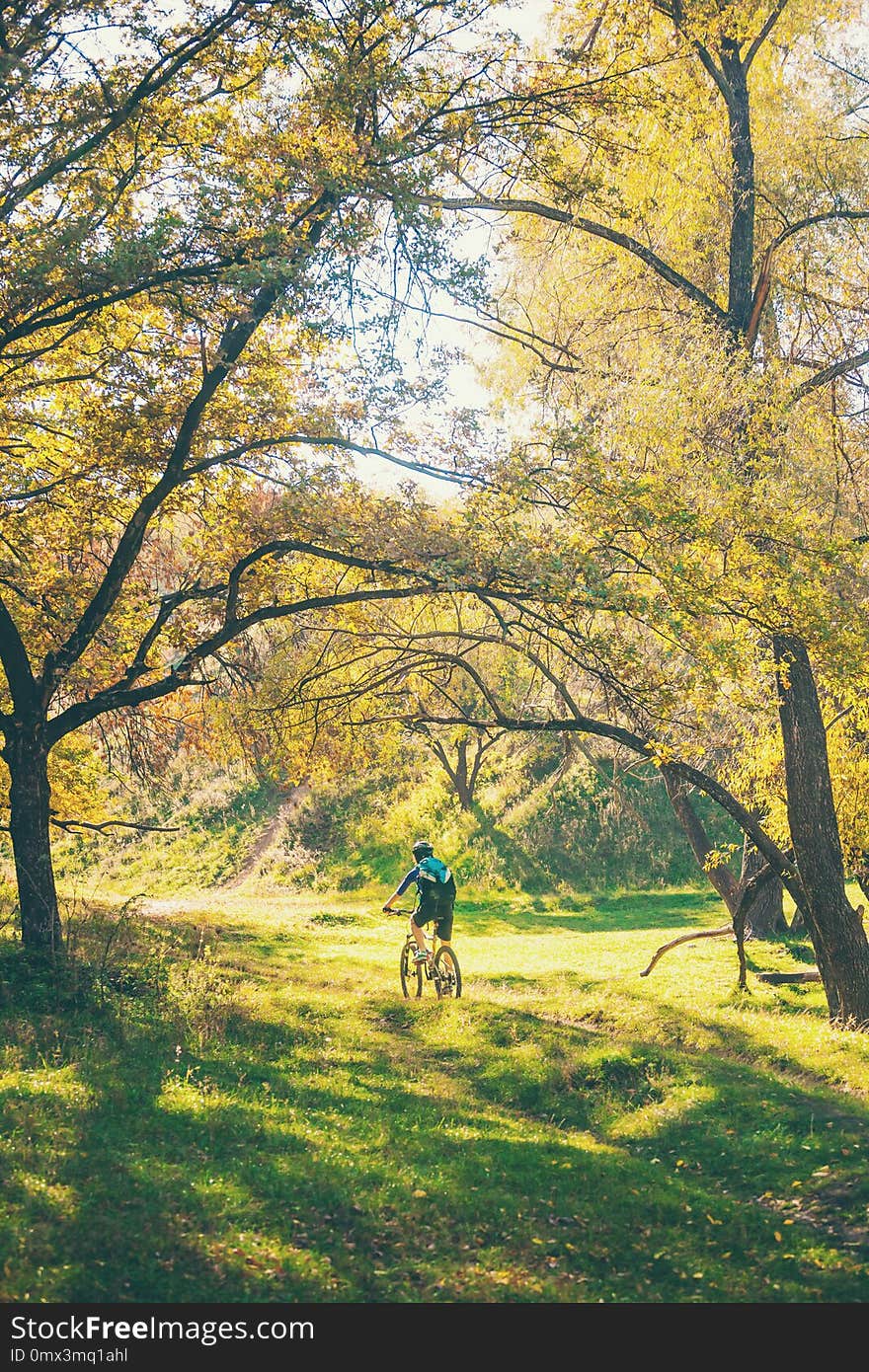 The girl with a backpack rides a bike in the autumn park. Slender woman trains in nature. Sports in the forest. Tourist rides on a dirt trail. Traveling by bike. The girl with a backpack rides a bike in the autumn park. Slender woman trains in nature. Sports in the forest. Tourist rides on a dirt trail. Traveling by bike.