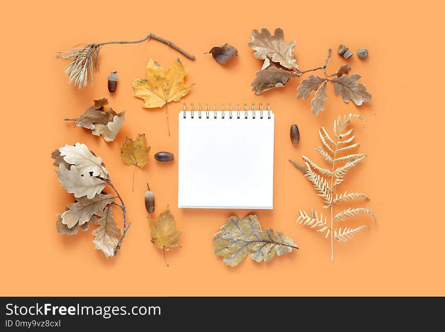 Top view various dried leaves with notebook for your text on orange background. Autumn, fall concept flat lay. Autumn composition. Top view various dried leaves with notebook for your text on orange background. Autumn, fall concept flat lay. Autumn composition