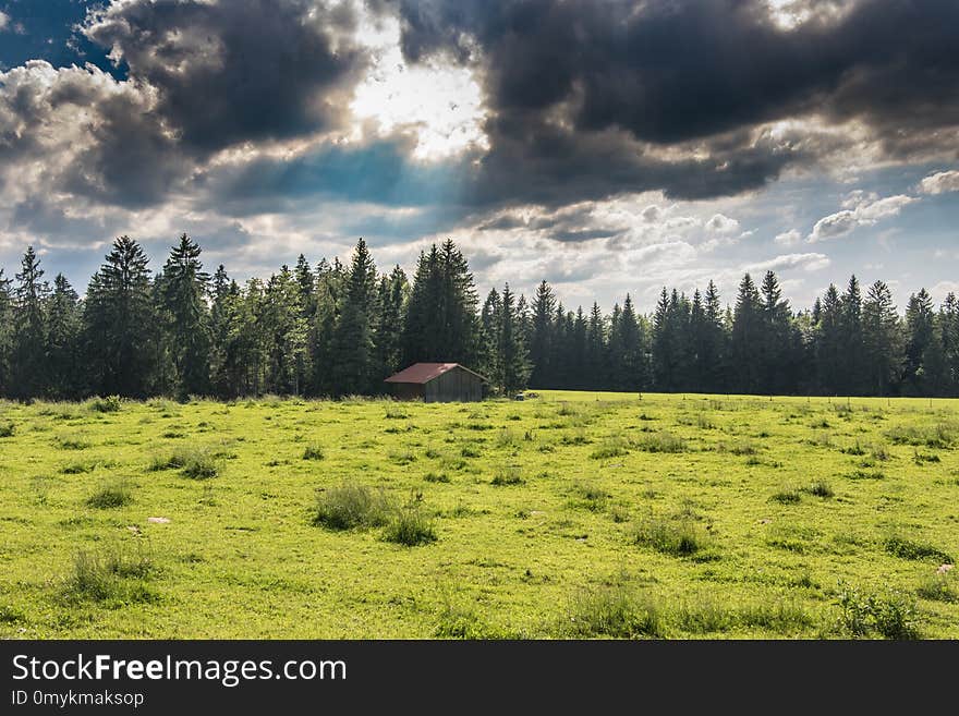 Grassland, Sky, Ecosystem, Nature