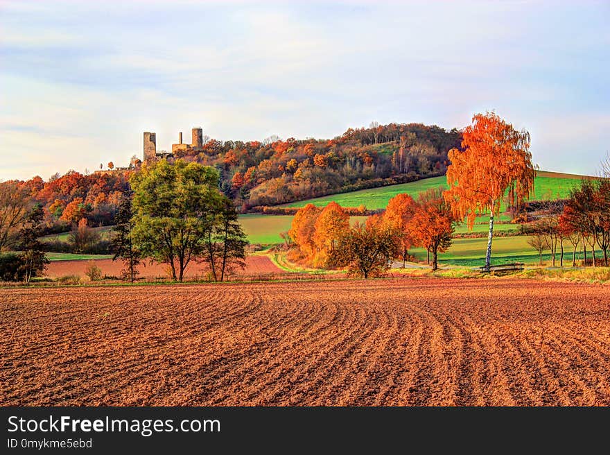 Nature, Field, Sky, Leaf