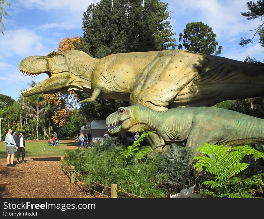 Dinosaur, Tyrannosaurus, Tree, Grass