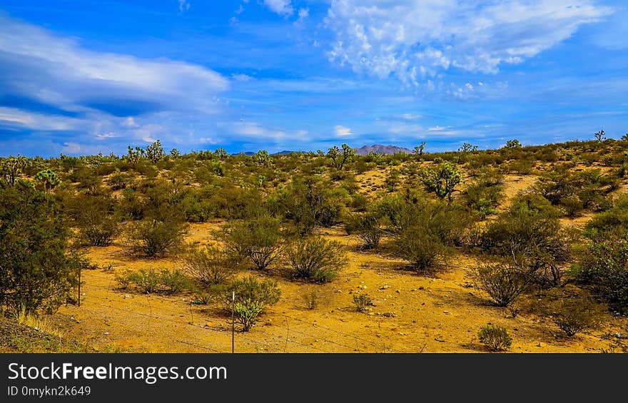 Sky, Vegetation, Ecosystem, Shrubland