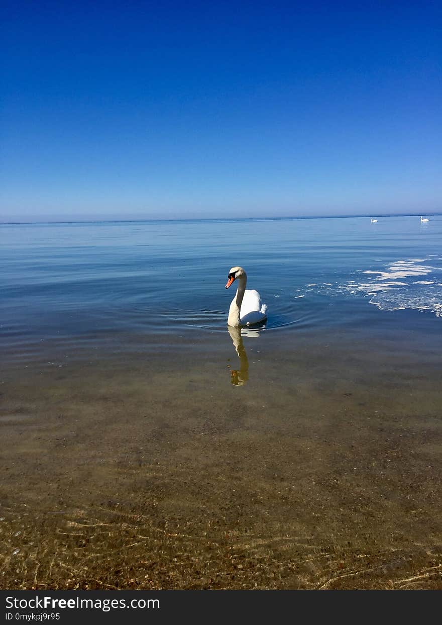 Sea, Sky, Coast, Horizon