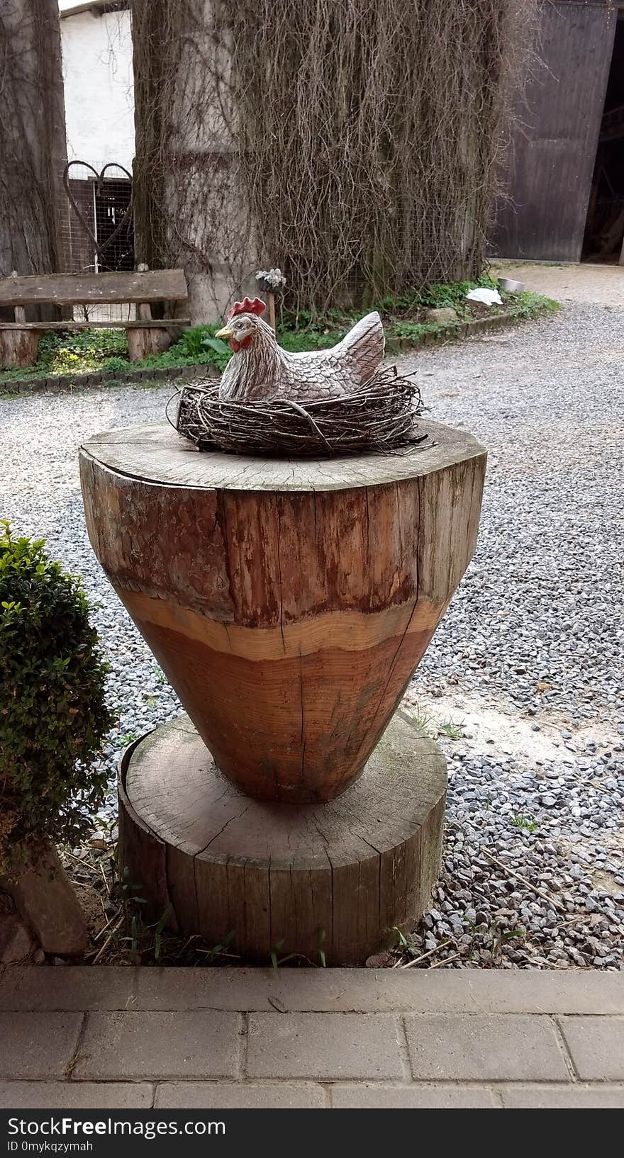 Flowerpot, Plant, Table, Tree