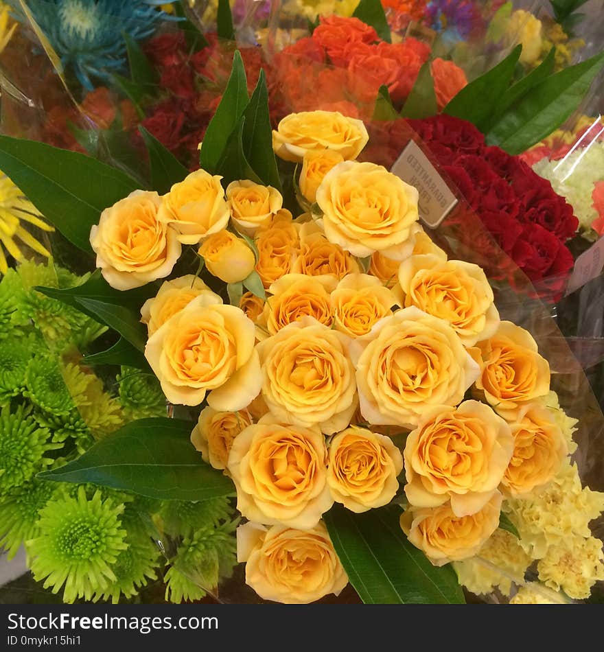 Flower, Yellow, Floristry, Flower Arranging