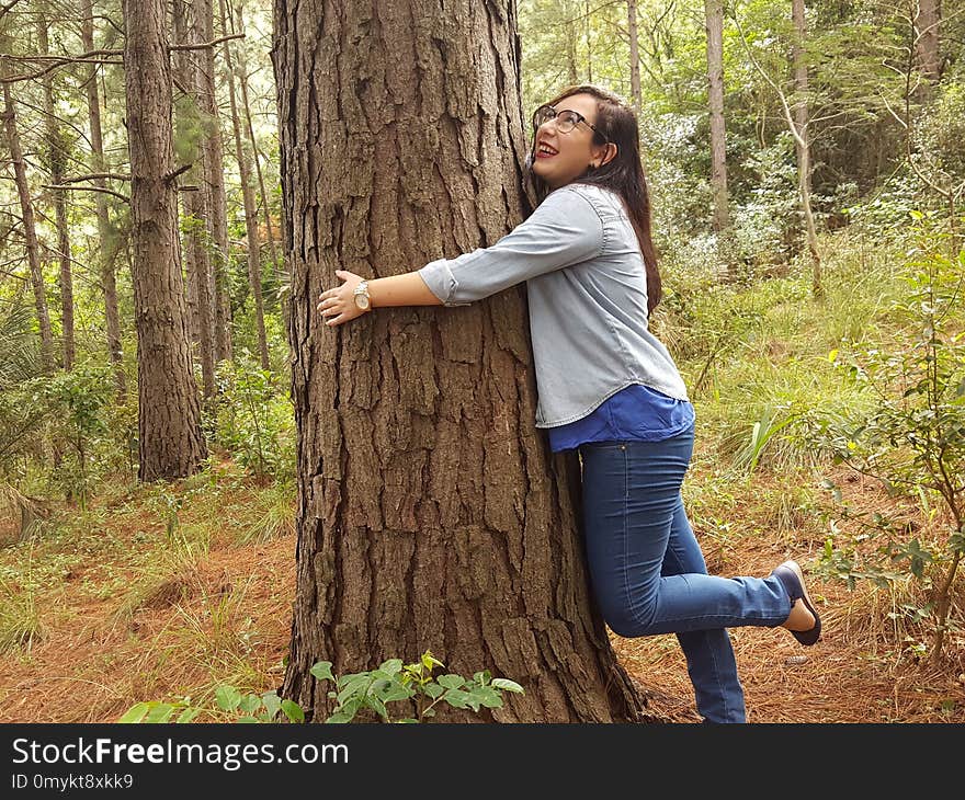 Tree, Nature, Woody Plant, Girl